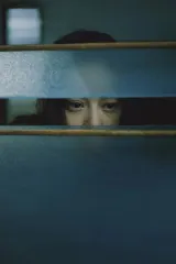 She Said (2026) movie poster featuring Fan Bingbing as a migrant worker in Singapore with subtle fantasy elements hinting at a green elf child