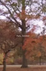 Park, October (2026) movie poster showing a solitary figure walking down a tree-lined autumn path with golden leaves, dusk lighting, and an unsettling sense of stillness