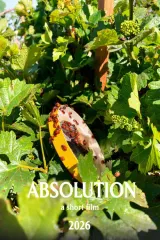 Absolution 2026 movie poster showing a grieving man in Las Vegas setting, titled Absolution with 2026 release year