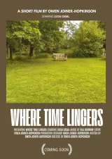 Where Time Lingers (2026) movie poster showing a woman in a domestic interior, light catching a small object in her hand