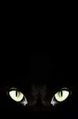 Poster for Halloween Claws (2026) showing a teenage girl looking frightened beside a masked figure in a dimly lit hallway