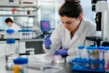 Laboratory technician working with human intestinal organoids